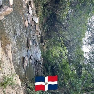 Meet your Posher, Henry